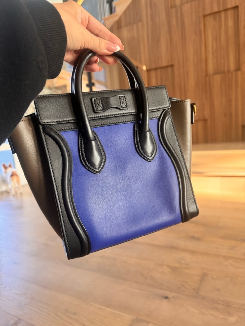 Celine Leather Micro - Picture 3 of 10